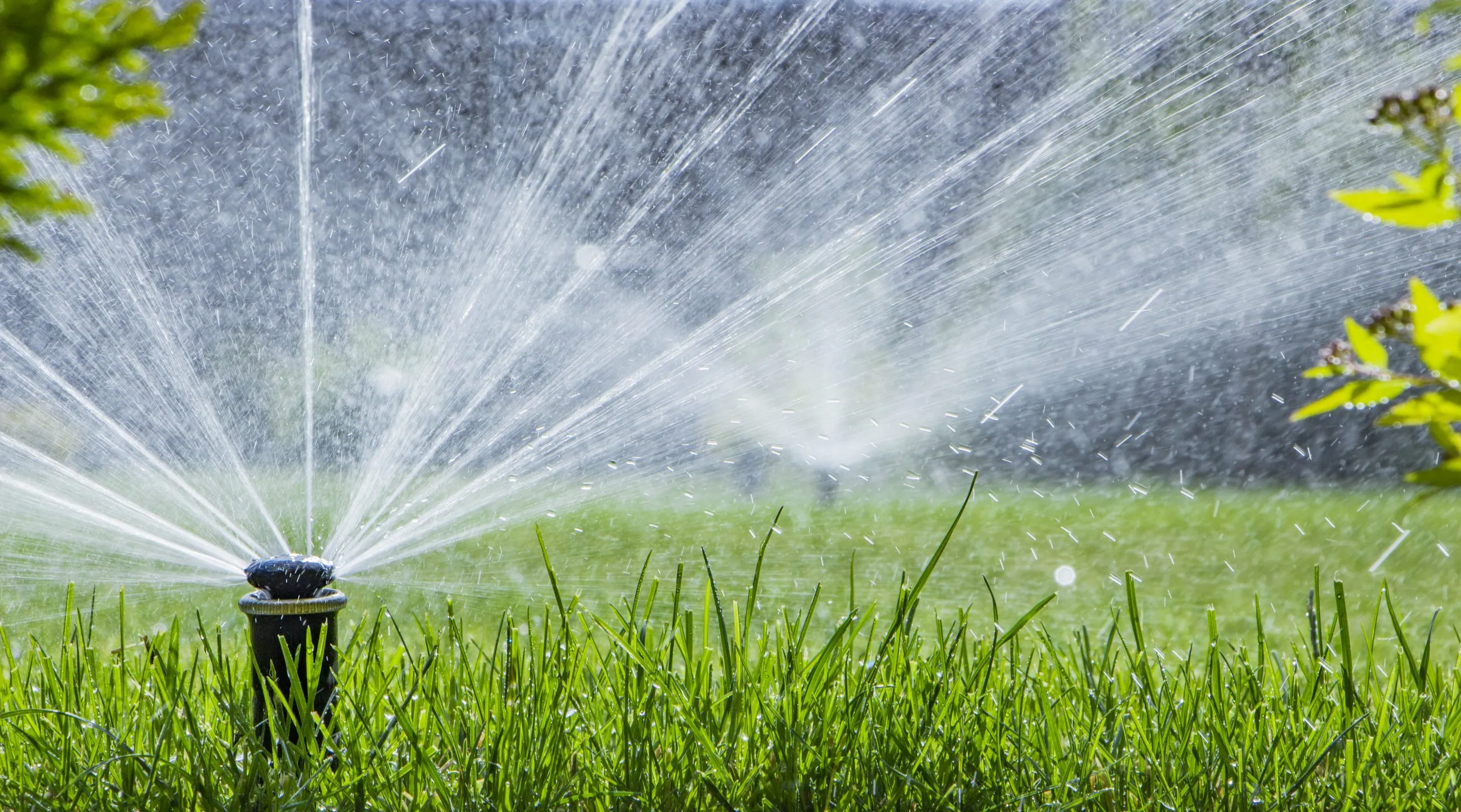 automatic sprinkler system watering the lawn on a background of green grass